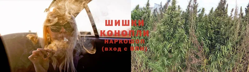 Марихуана SATIVA & INDICA  что такое наркотик  Новохопёрск 